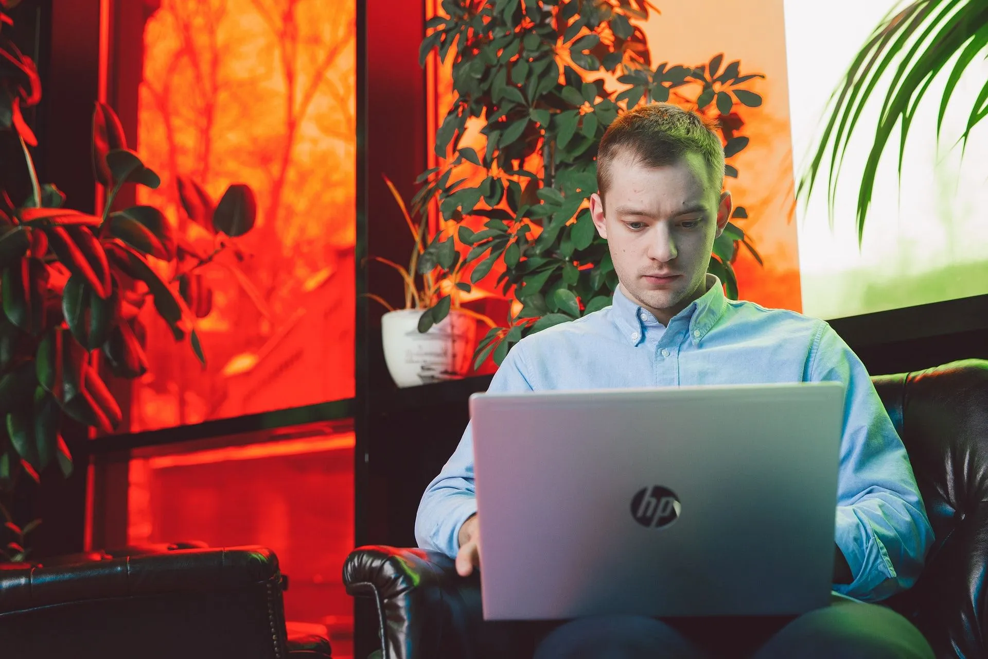 36501 compelling body paragraphs